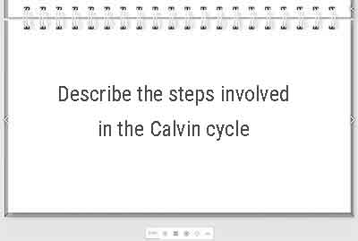 An image of a biology flashcard